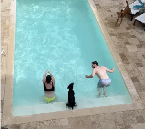 Pup in the pool